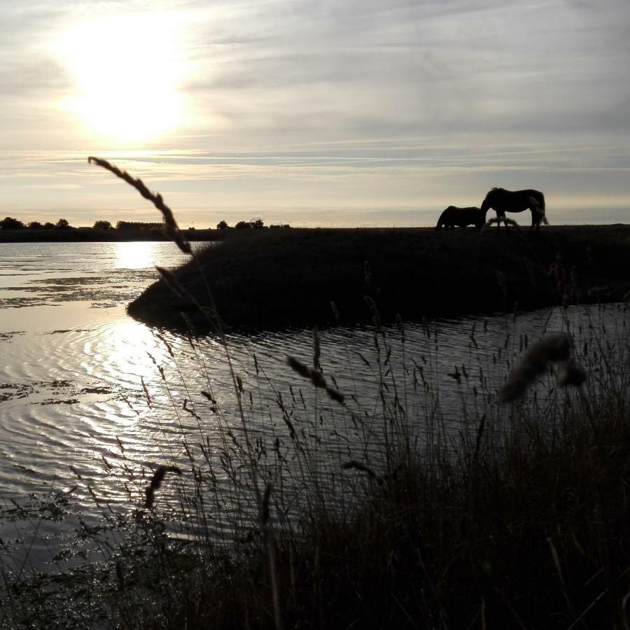 Les Pensions Du Joslin Bouin  Exteriör bild