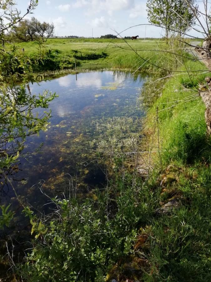 Les Pensions Du Joslin Bouin  Exteriör bild