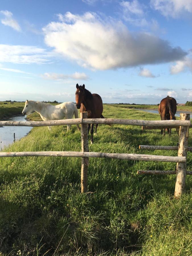 Les Pensions Du Joslin Bouin  Exteriör bild